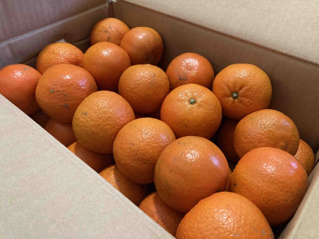 食品ロスを減らそう！大量みかん（柑橘類）の保存・加工の工夫