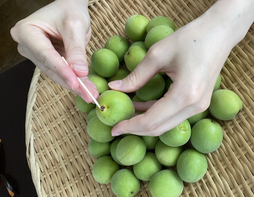 6月が旬の梅を使った、はじめての梅仕事