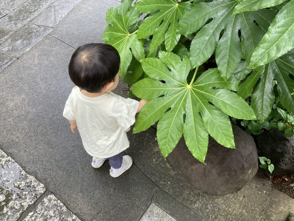 ２ヶ月ぶりに上の子どもと清澄白河の100本のスプーンでまったり